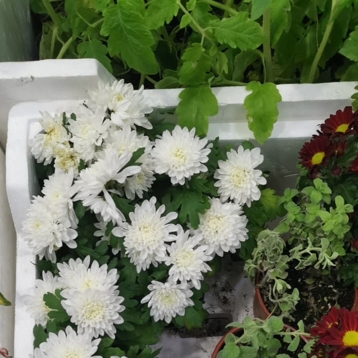 شلالات مياه